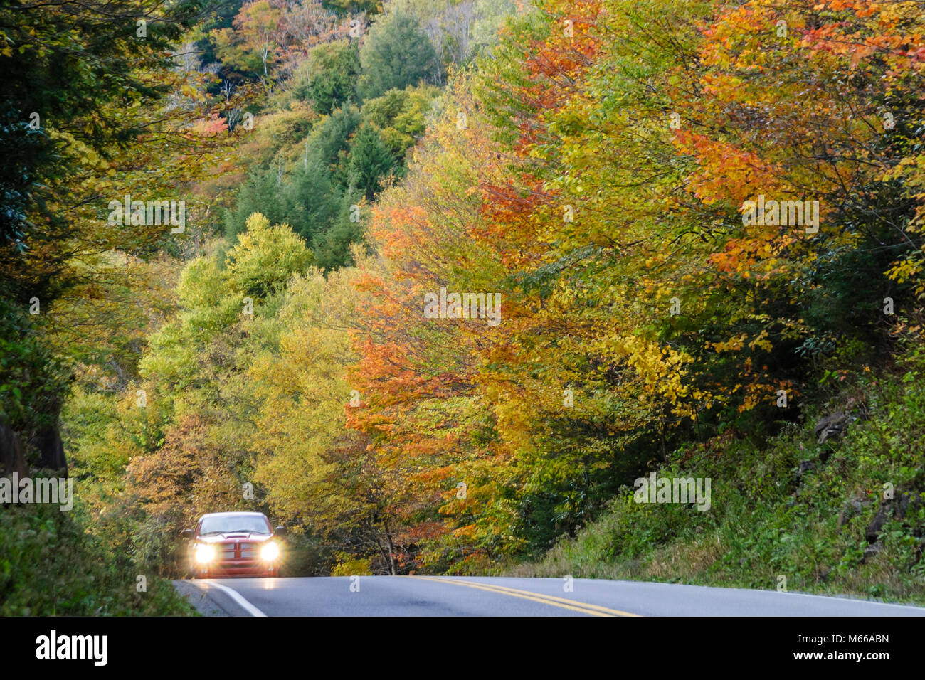 West Virginia, Appalachia Greenbrier County, Monongahela National Forest, Herbstfarben, Blattwechsel, Herbst, Jahreszeit, Bäume, Wetter, Fahrzeug, Allegheny Mountai Stockfoto