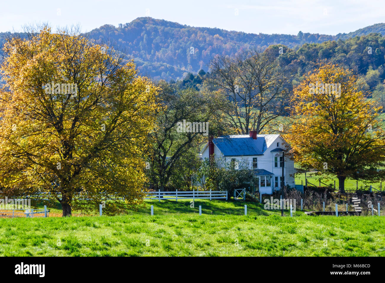 West Virginia, Appalachia Greenbrier County, Frankford, ländlicher Lebensstil, Land, rustikal, Szene, Bauernhof, Landwirtschaft, Allegheny Mountains, Besucher reisen auf Reisen Stockfoto