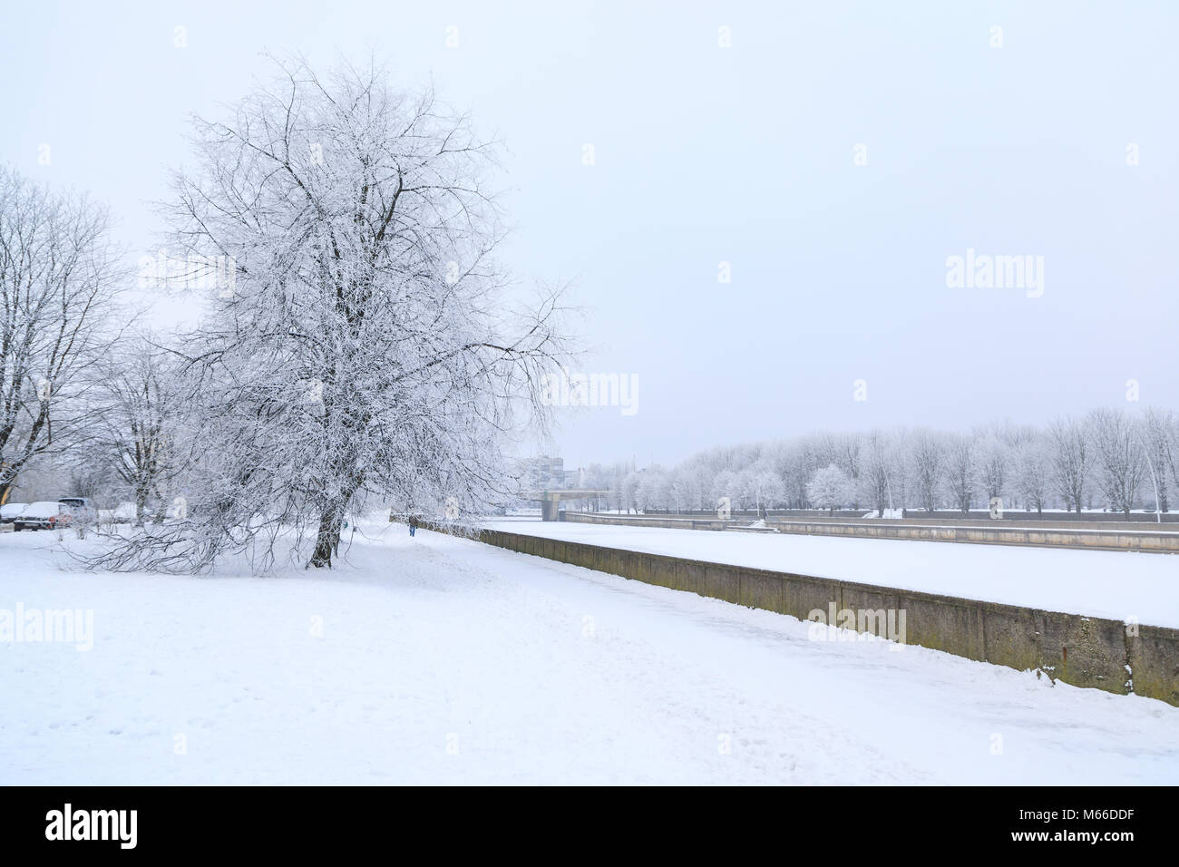 Die Ufer in Kaliningrad im tiefen Winter Stockfoto