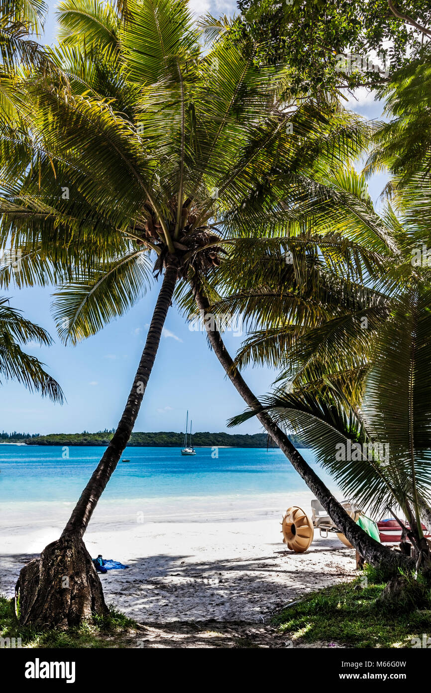 Tropischer Strand, Lifou, Neukaledonien, Frankreich Stockfoto