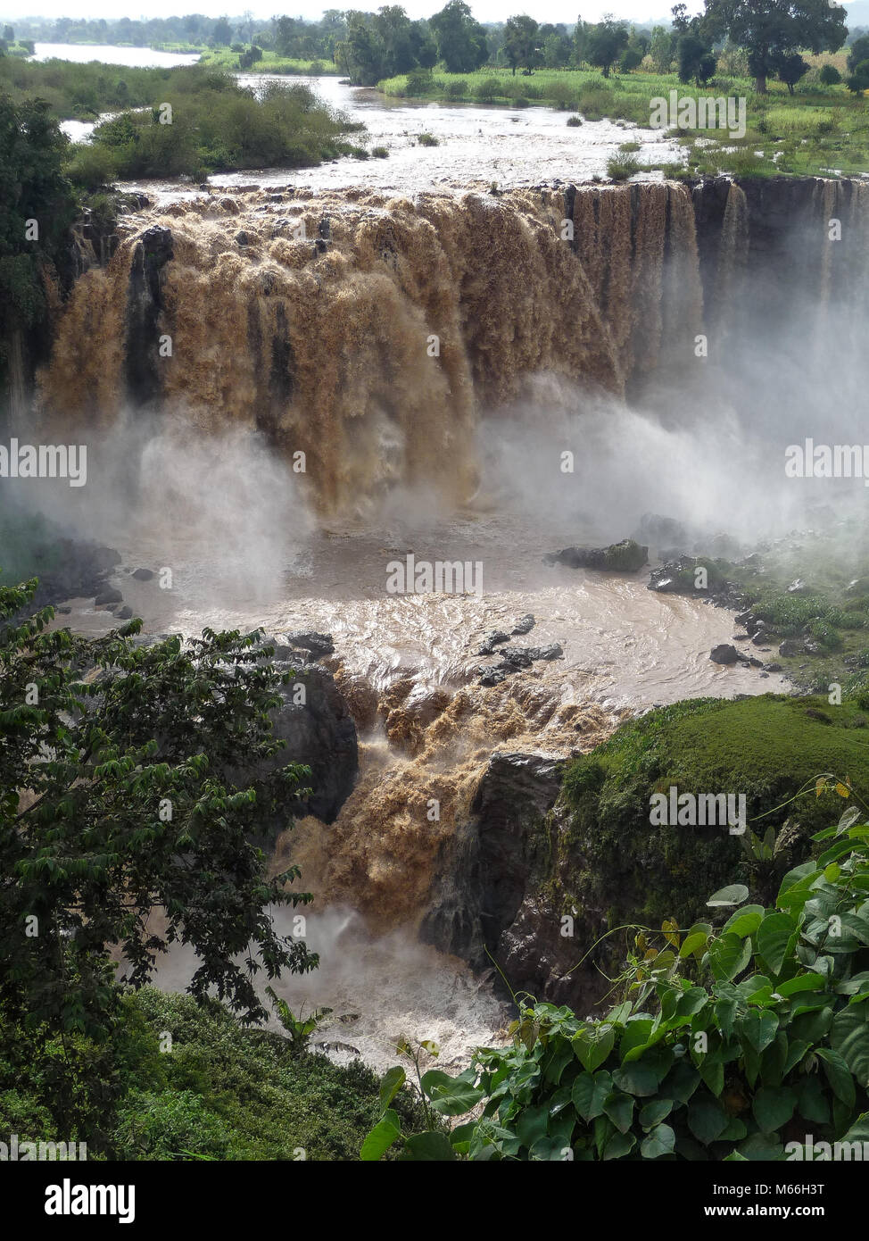 Blue Nile Falls, Amhara, Äthiopien Stockfoto