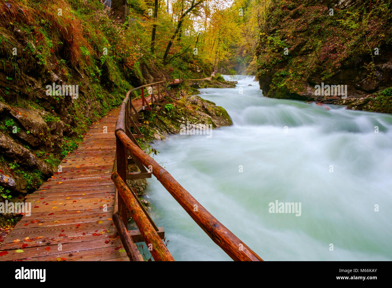 Wunderbare Schlucht Vintgar curlicue Fluss und schöne Farben in Slowenien Stockfoto