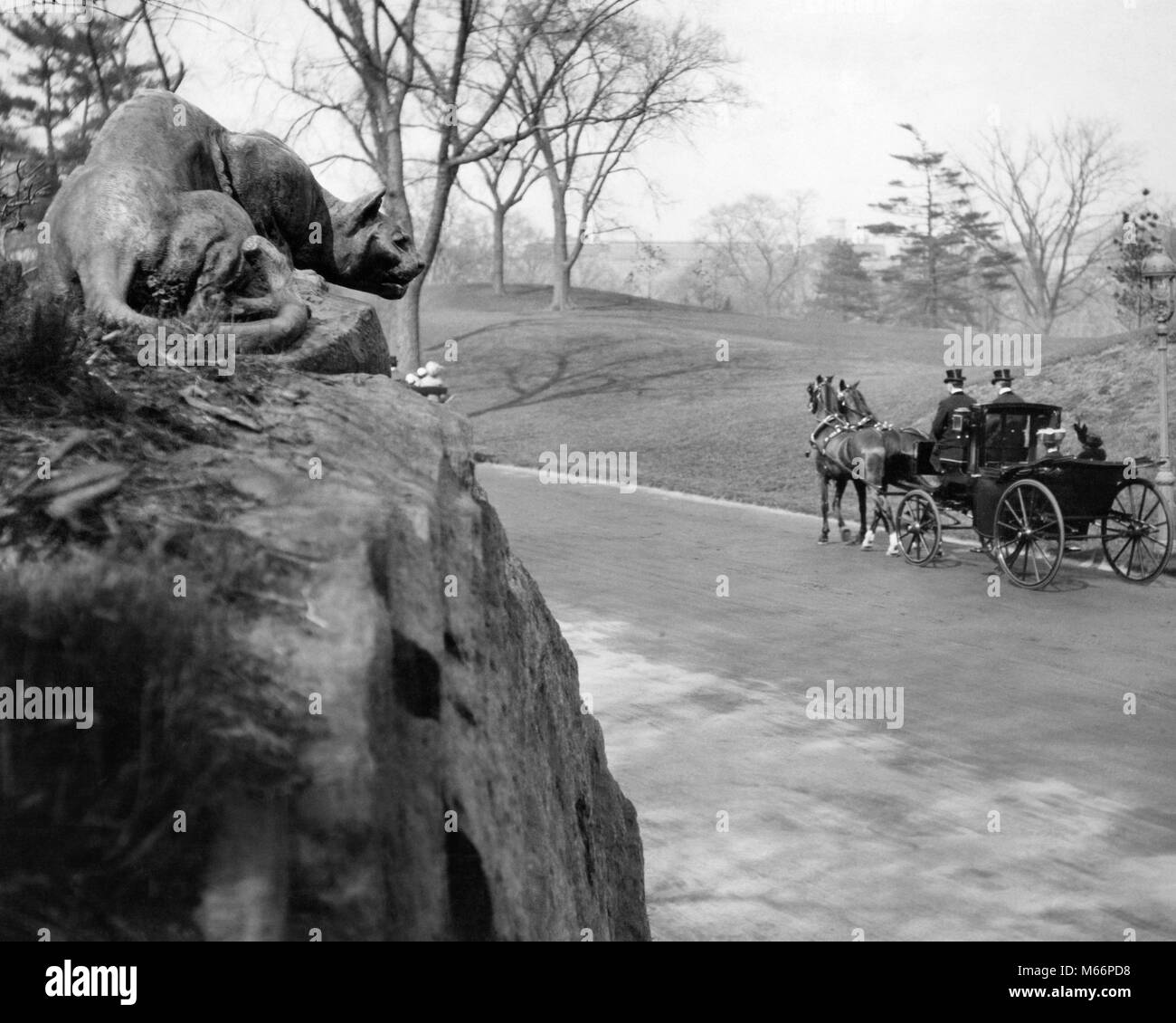 1880s 1890s KUTSCHE VORBEI AN DER NOCH JAGD PANTHER SKULPTUR VON EDWARD KEMEYS EAST DRIVE CENTRAL PARK MANHATTAN NYC USA-q 74789 CPC 001 HARS NYC DREI TIERE KREATIVITÄT NEW YORK 1880s STÄDTE PHANTASIE WAGEN NEW YORK CITY KLEINE GRUPPE VON MENSCHEN WILDLIFE 1883 ANIMALIER. B&W BIG APPLE SCHWARZ UND WEISS BOULDER KUTSCHEN EAST DRIVE EAST SIDE EDWARD LACKEI KEMEYS ALTMODISCHE PANTHER NOCH ZWEI FRAUEN Stockfoto