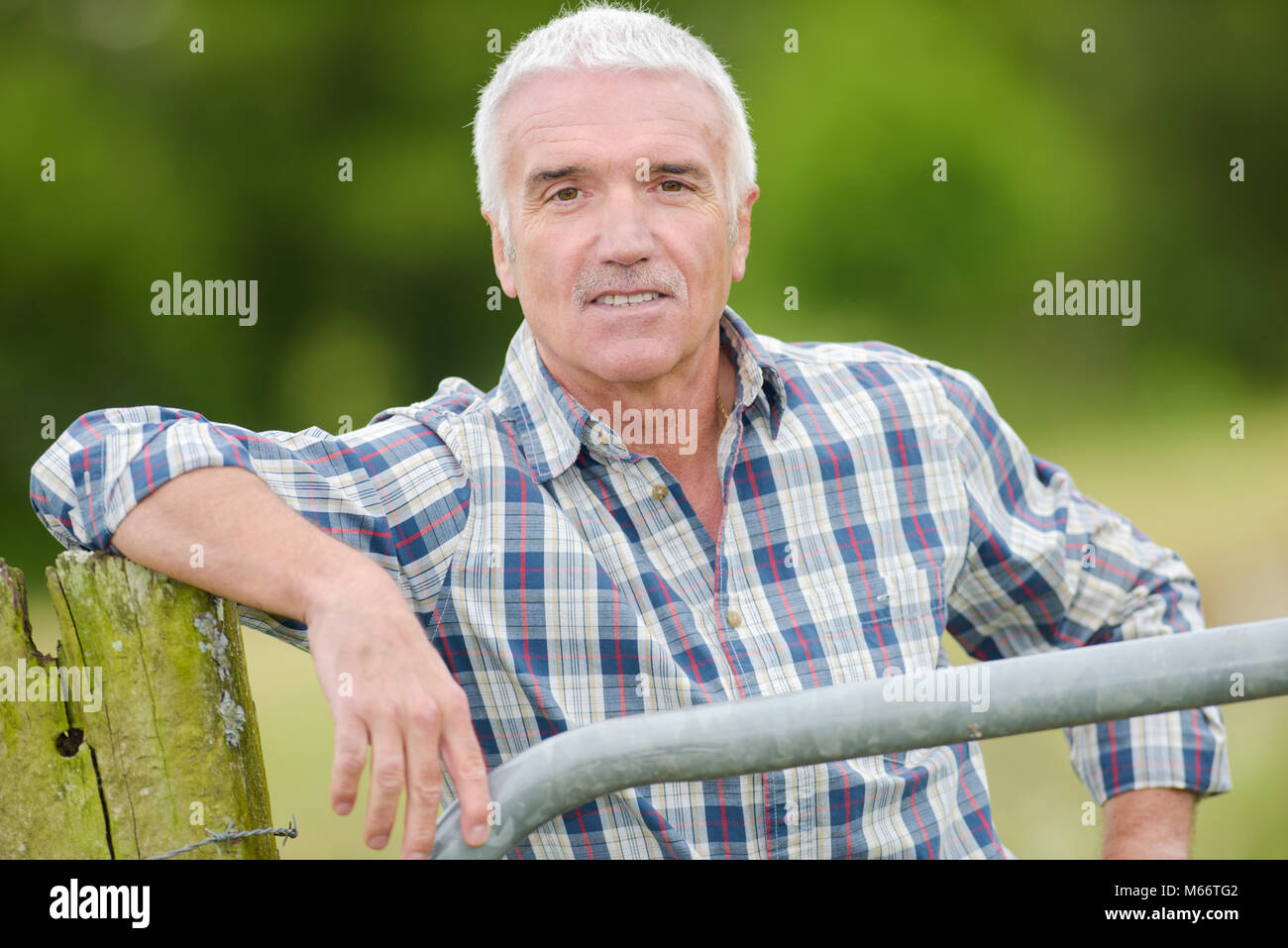 Portrait von Reifen Gentleman Stockfoto