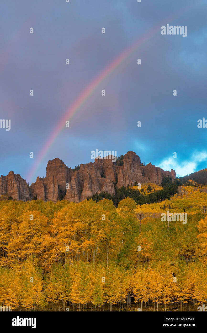 Rainbow, Aspen, Populus tremula, Cimarron Ridge, Uncompahgre National Forest, Colorado Stockfoto