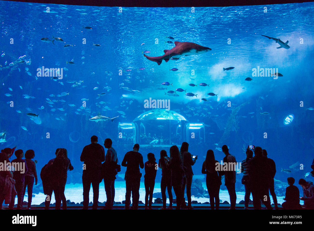 Winzige blaue Meer Glas Herz am Finger mit blauem Himmel Stockfoto