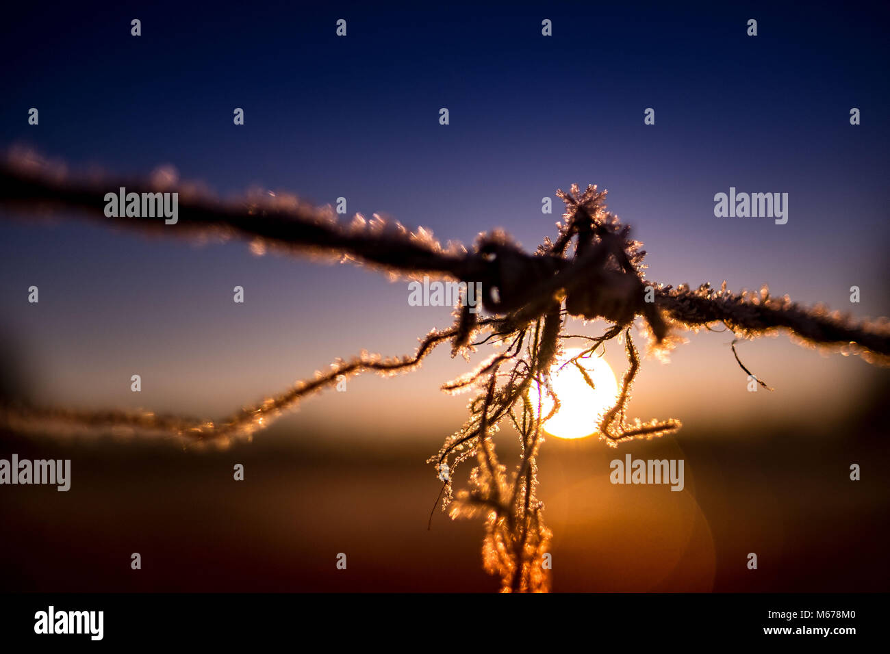 14. Februar 2018, Deutschland, Hannover: Kleine Partikel von Eis an einem stacheldraht während der winterlichen Sonne steigen. Foto: Peter Steffen/dpa Stockfoto