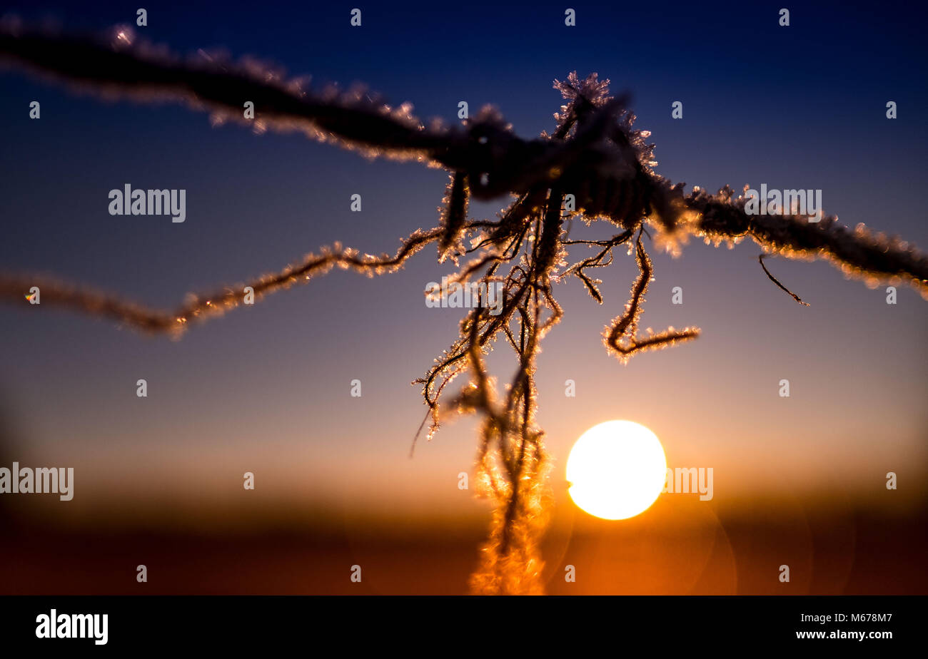 14. Februar 2018, Deutschland, Hannover: Kleine Partikel von Eis an einem stacheldraht während der winterlichen Sonne steigen. Foto: Peter Steffen/dpa Stockfoto