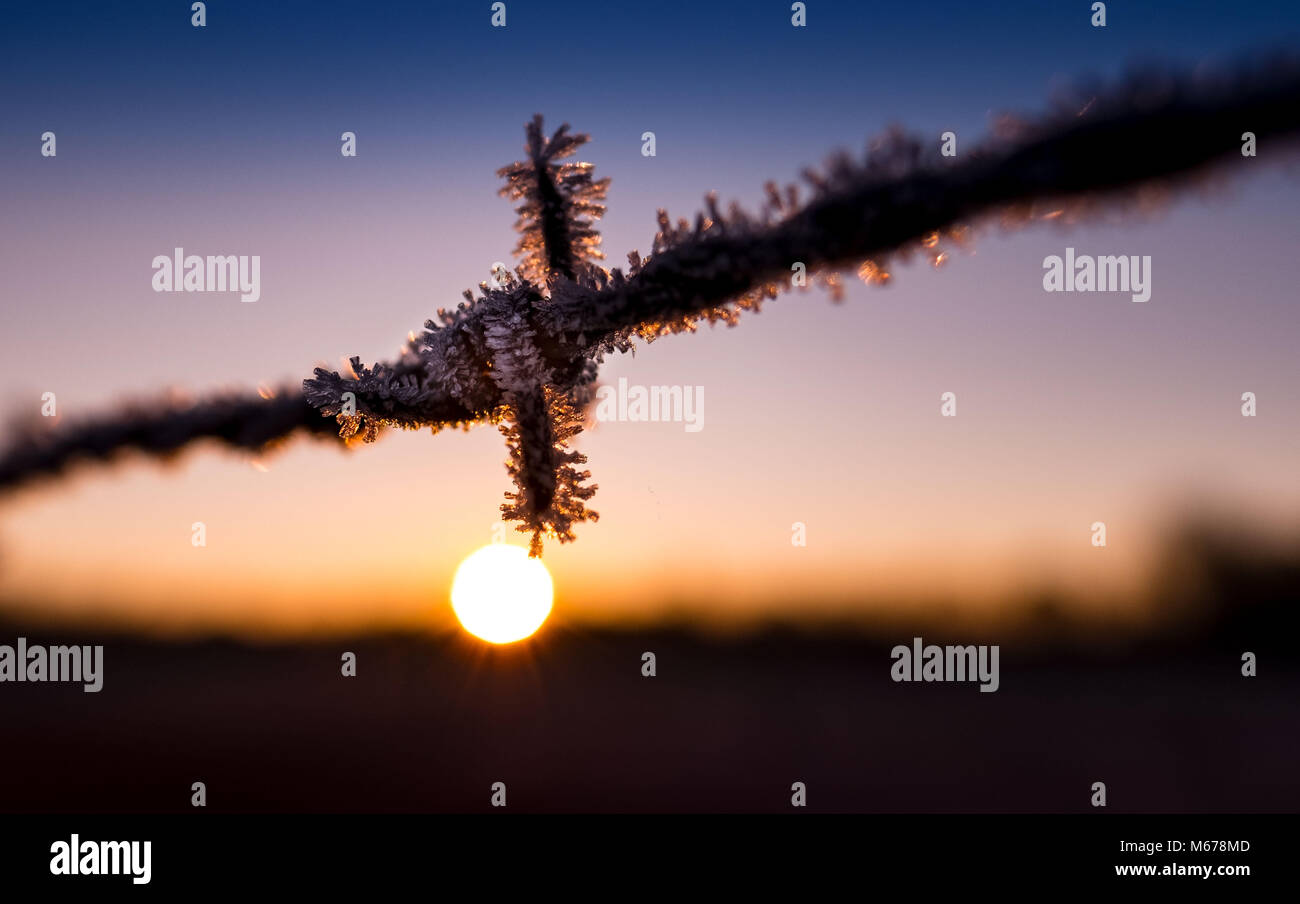 14. Februar 2018, Deutschland, Hannover: Kleine Partikel von Eis an einem stacheldraht während der winterlichen Sonne steigen. Foto: Peter Steffen/dpa Stockfoto