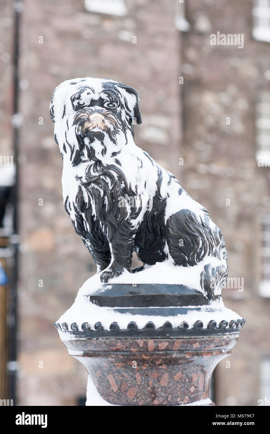 Edinburgh, Schottland, Großbritannien. 1. März 2018. UK Wetter. Die Statue von greyfriars Bobby abgedeckt im Schnee in Edinburgh City Centre Credit: Lorenzo Dalberto/Alamy leben Nachrichten Stockfoto