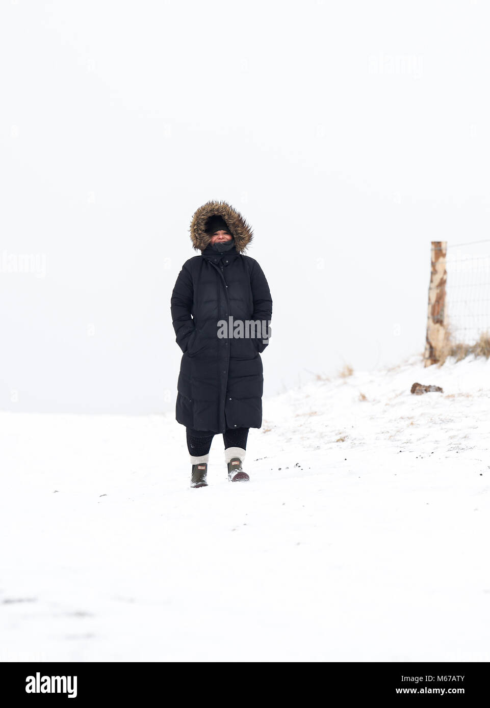 Brighton, UK. 1. März 2018. UK Wetter: Eine warme suchen Mantel für diese Walker im Schnee auf Ditchling Beacon Nördlich von Brighton als "das Tier aus dem Osten' arctic Blast und Sturm Emma über das Land Foto von Simon Dack: Simon Dack/Alamy Leben Nachrichten genommen Stockfoto