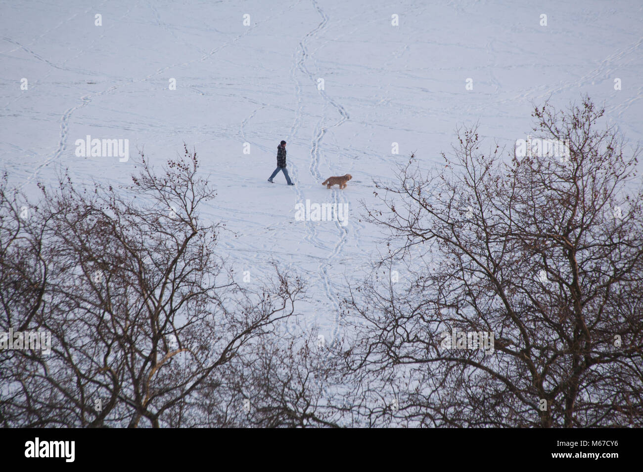 28/02/2018 London UK schweren Schnee fallen als Tier des Ostens sweeps Britan leadin gbelow Null einfrieren tempretures. Leute den Schnee in Hackney Downs Park East London Kreditkarte geniessen: Emin Ozkan/Alamy leben Nachrichten Stockfoto