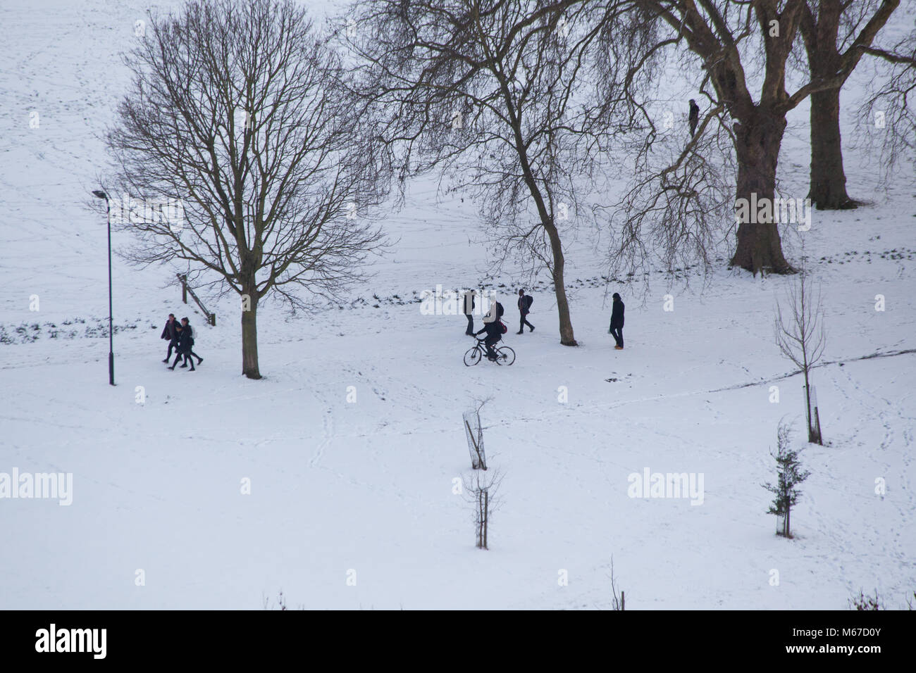 28/02/2018 London UK schweren Schnee fallen als Tier des Ostens sweeps Britan leadin gbelow Null einfrieren tempretures. Leute den Schnee in Hackney Downs Park East London Kreditkarte geniessen: Emin Ozkan/Alamy leben Nachrichten Stockfoto