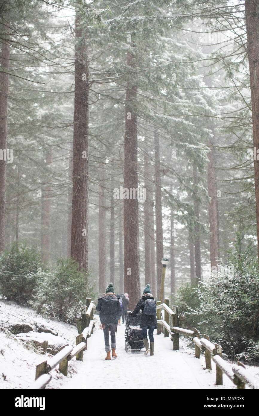 Longleat Center Parcs, Wiltshire. 1 Mär, 2018. UK Wetter: Besucher gehen durch den Schnee in Longleat Center Parcs in Wiltshire. Ein großer Teil der South West und Wales hat geschlagen worden durch Sturm Emma, Schneestürme und starker Schneefall. 1. März 2018 Credit: Adam Gasson/Alamy leben Nachrichten Stockfoto