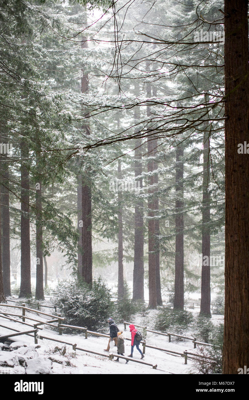 Longleat Center Parcs, Wiltshire. 1 Mär, 2018. UK Wetter: Besucher gehen durch den Schnee in Longleat Center Parcs in Wiltshire. Ein großer Teil der South West und Wales hat geschlagen worden durch Sturm Emma, Schneestürme und starker Schneefall. 1. März 2018 Credit: Adam Gasson/Alamy leben Nachrichten Stockfoto