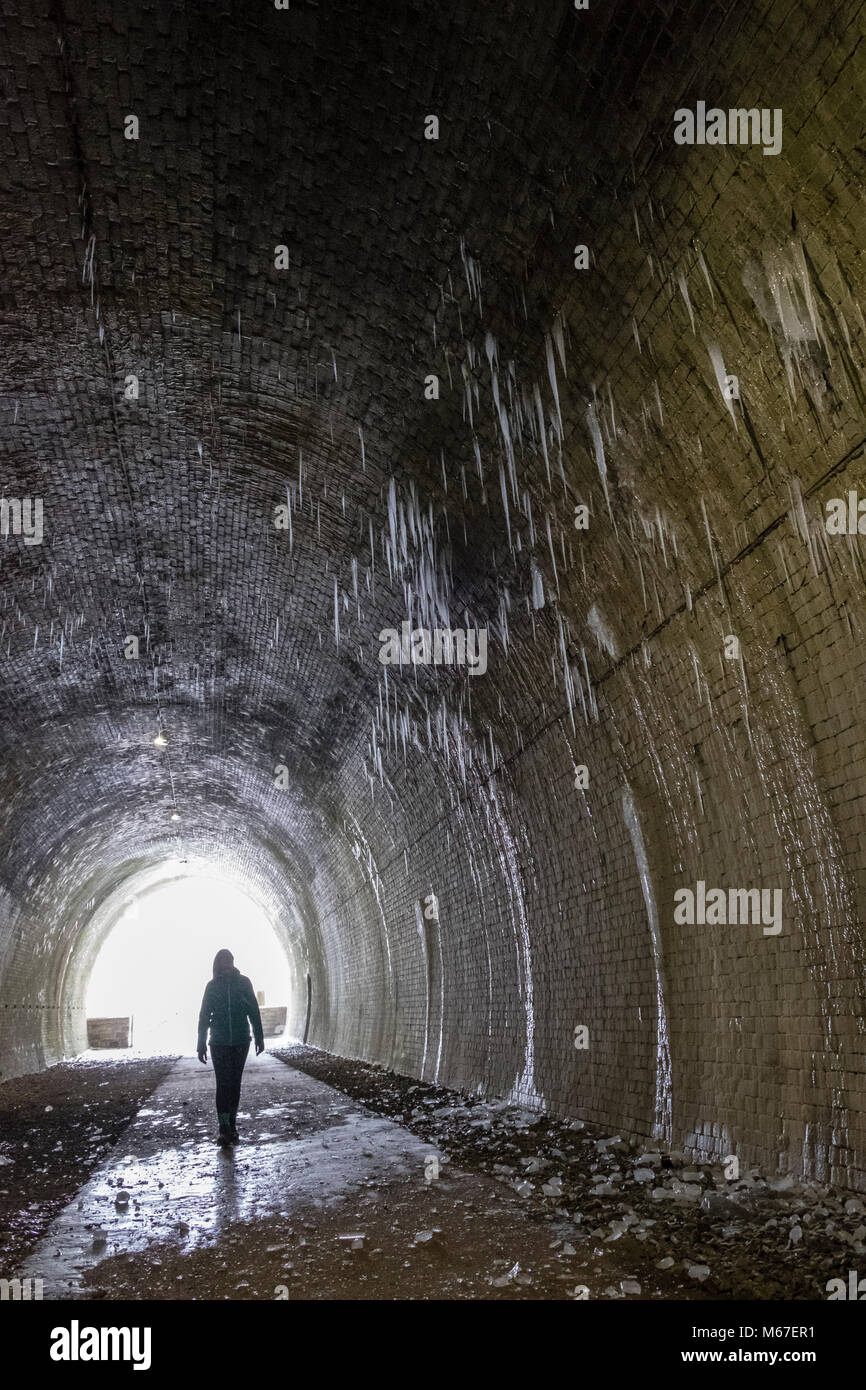 Peak District, Derbyshire, UK. 1. März, 2018. Die "Bestie aus dem Osten' Kälteeinbruch verursacht diese Eiszapfen in Ashbourne Tunnel auf der Tissington Trail, Peak District, Derbyshire Credit: Robin Weber/Alamy Leben Nachrichten zu bilden Stockfoto
