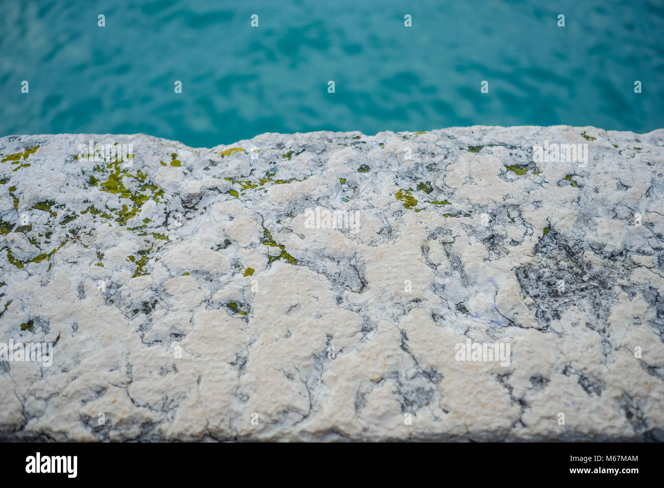 Details eines venezianischen Felsens in Venedig, mit grünem Wasser im Hintergrund Stockfoto