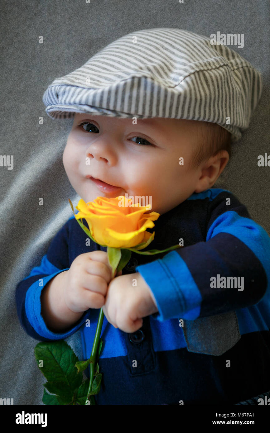 Der Junge hält einen gelben in der Hand im Studio rose Stockfoto