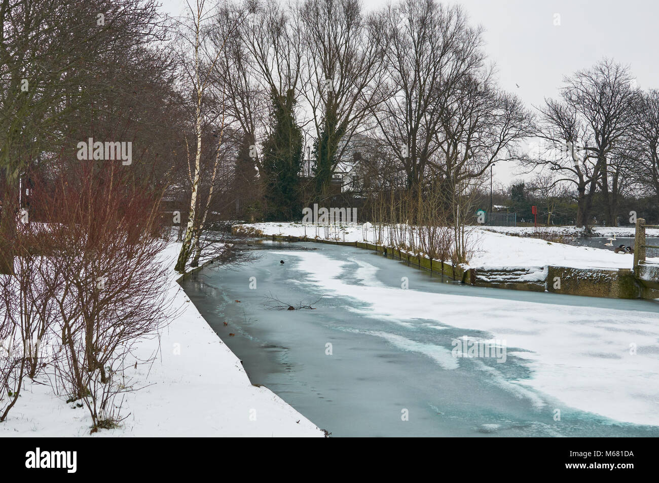 Die gefrorenen New River bei Woodberry Feuchtgebiete, nördlich von London UK, in der Kaelte snap von Anfang 2018 Stockfoto