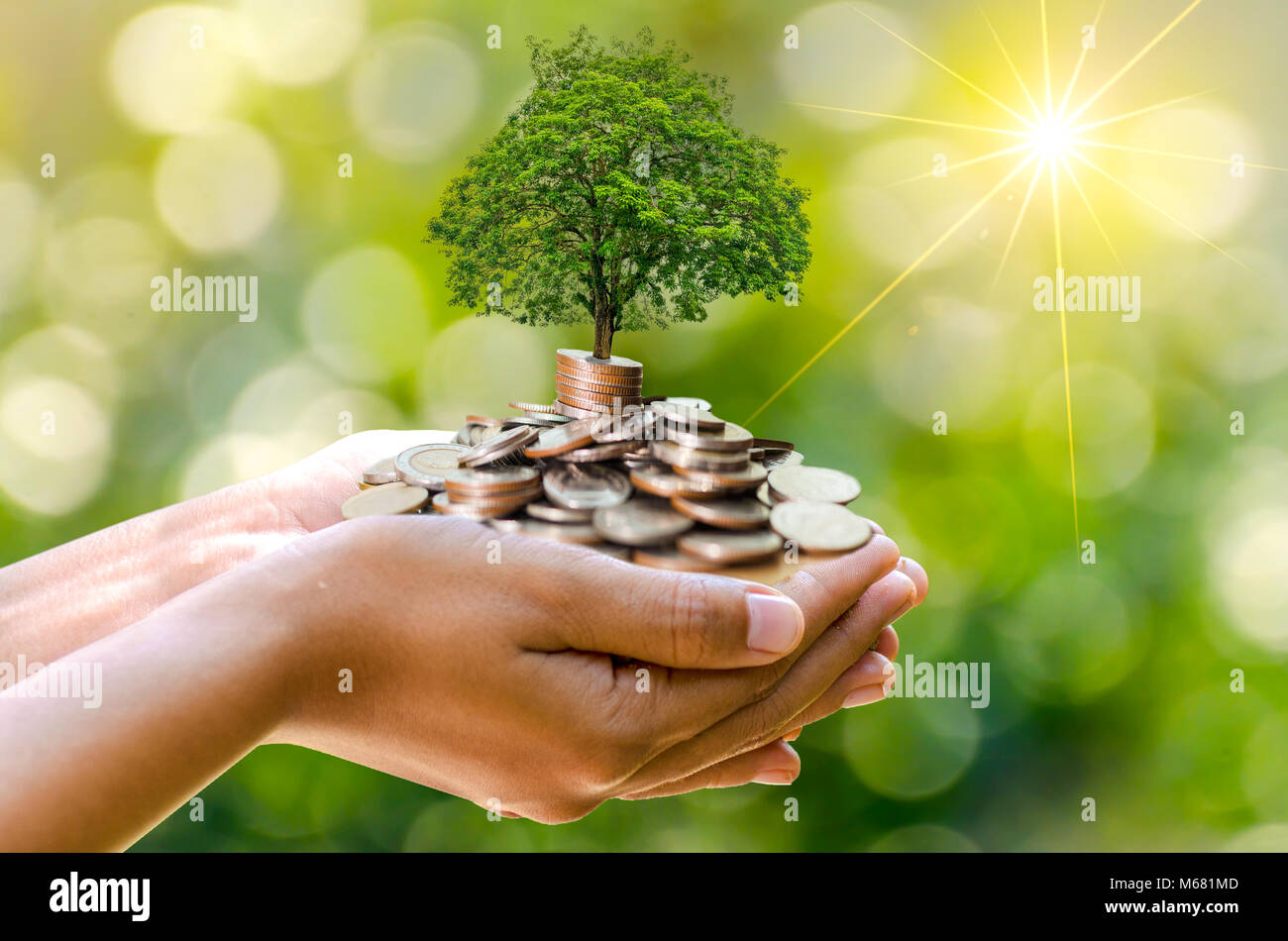 Hand Münze Baum der Baum wächst auf dem Stapel. Geld sparen für die Zukunft. Investment Ideen und das Wachstum der Unternehmen. Grüner Hintergrund mit bokeh Sun Stockfoto