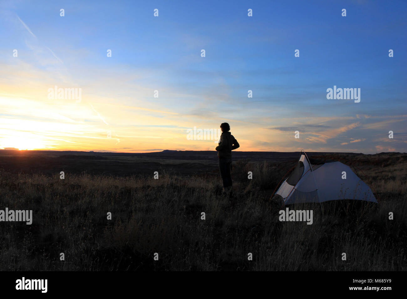 Wüste Sonnenuntergang. Stockfoto