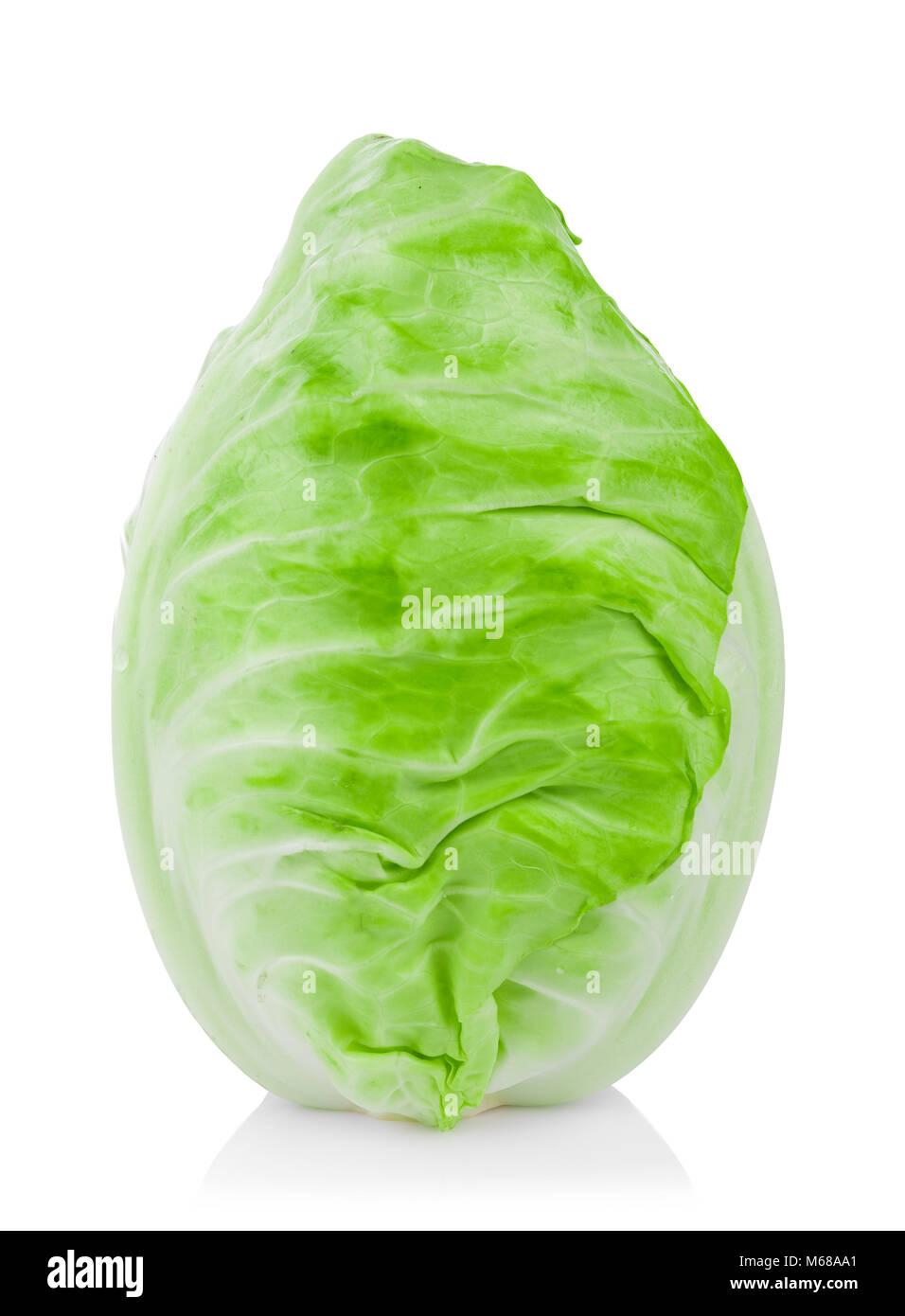 Spitzkohl auf weißem Hintergrund Stockfoto