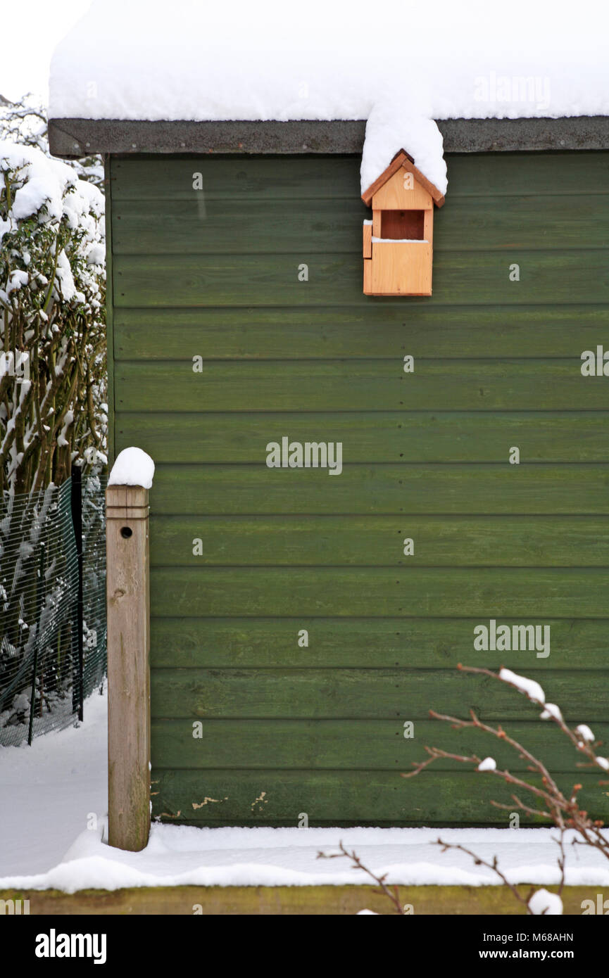 Ein Vogel Nistkasten auf der Nordseite von einem Gartenhaus nach dem Winter Schneefall in Hellesdon, Norfolk, England, Vereinigtes Königreich, Europa. Stockfoto