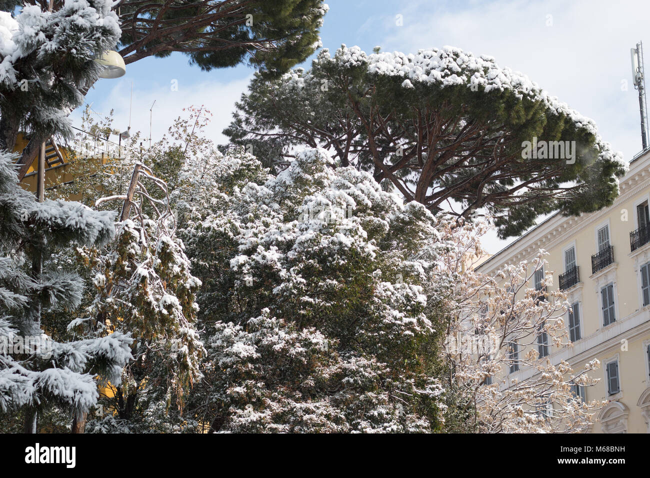 Verschneite Bäume in Rom Stockfoto