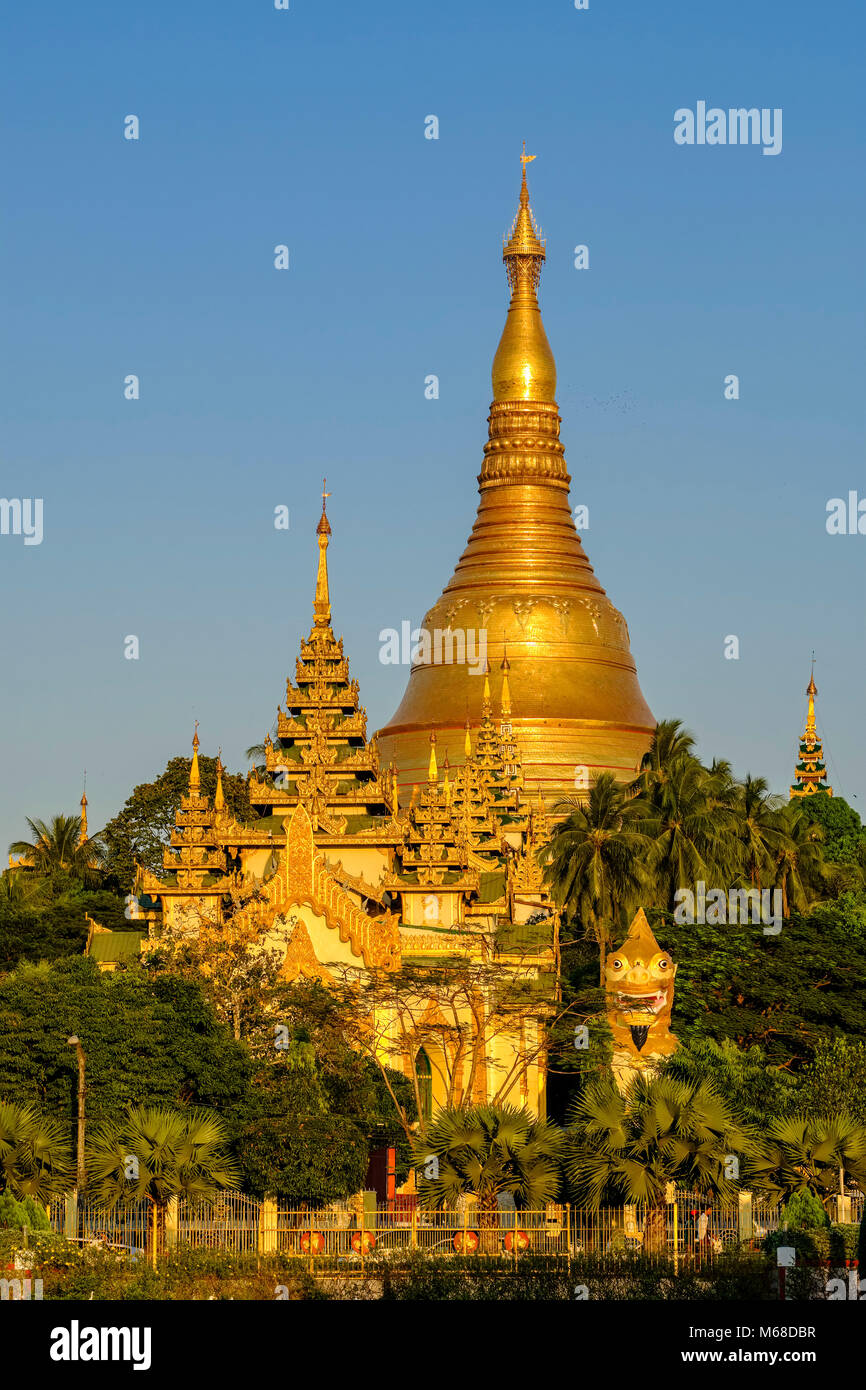 Die goldene Shwedagon Pagode, dem heiligsten Pagode von Myanmar, liegt auf einem Hügel im Zentrum der Stadt Stockfoto