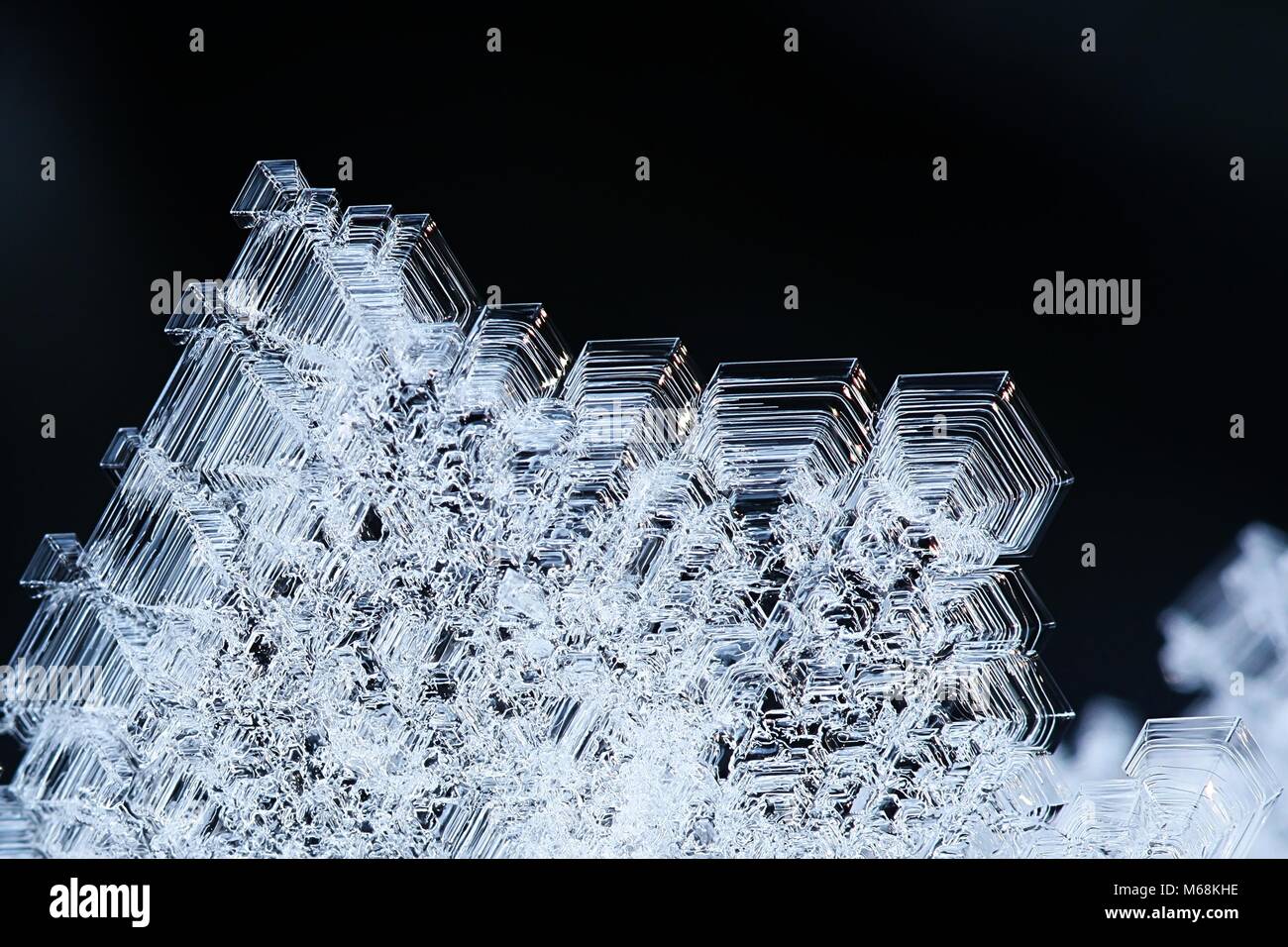 Snow Flake, ein Makro Bild Stockfoto