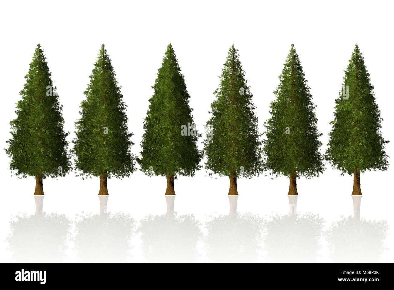 Pine Tree Zeile isoliert 3D-Grafik für Grafik Design Stockfoto