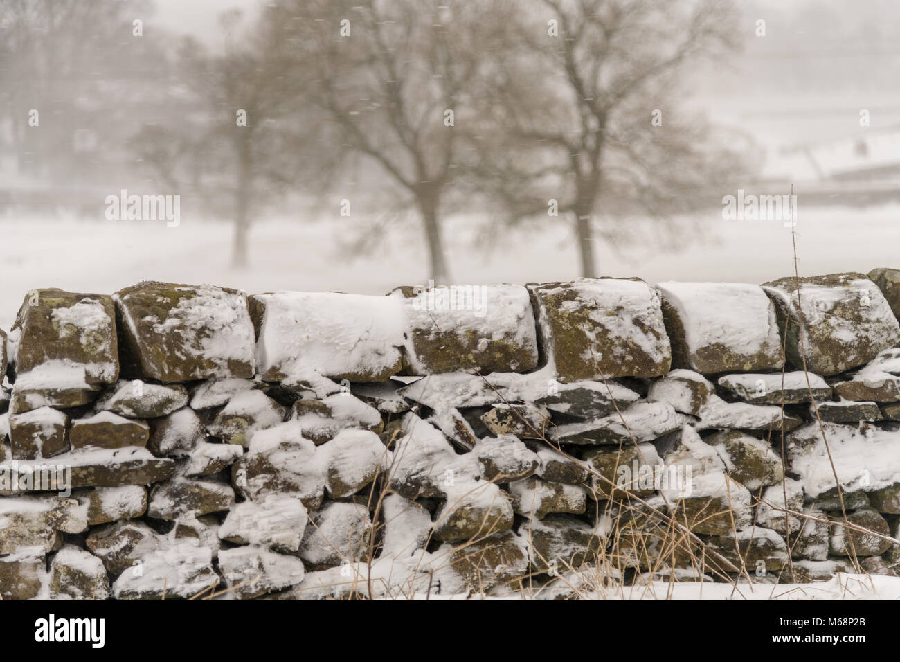 Das Tier aus dem Osten hat gebissen, zusammen mit Sturm Emma nach oben aus dem Süden. Ein sehr kalter Anfang März in Ingleton, North Yorkshire. Stockfoto