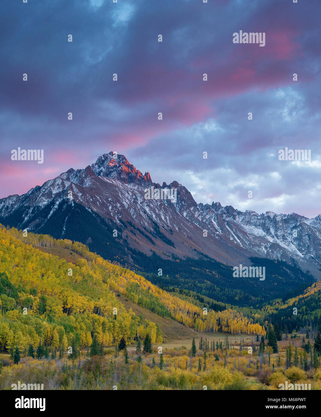 Sonnenuntergang, Aspen, Mount Sneffels, Dallas Divide, Uncompahgre National Forest, Colorado Stockfoto