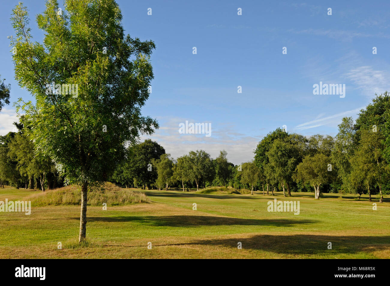 Blick auf die 1 Fahrrinne in Richtung der Grünen vom T-Stück, Langley Park Golf Club, Beckenham, Kent, England Stockfoto