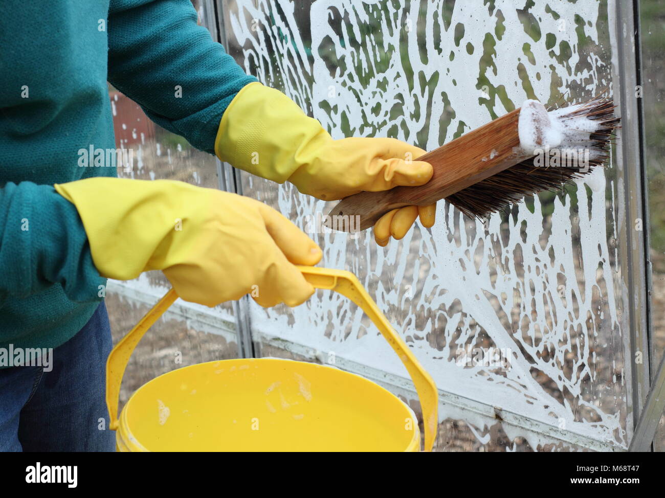 Gewächshaus Fensterscheiben sind mit warmen Seifenwasser im Winter gewaschen zu entfernen Schmutz und helfen, Schädlinge und Krankheiten Risiko reduzieren, UK Garten Stockfoto