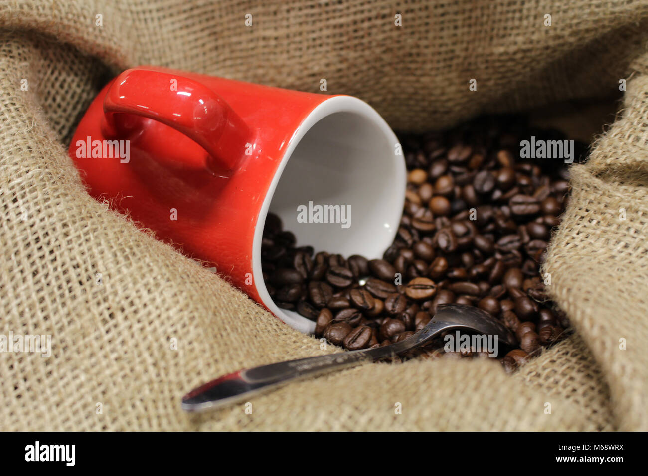 Kaffeebohnen in die Tasche mit roter Kaffeebecher und ein Kaffee Löffel Stockfoto