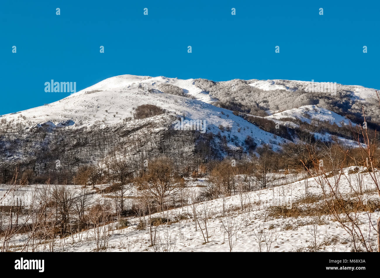 Italien Basilikata lukanische Apennin Nationalpark - Mount Raparo Stockfoto