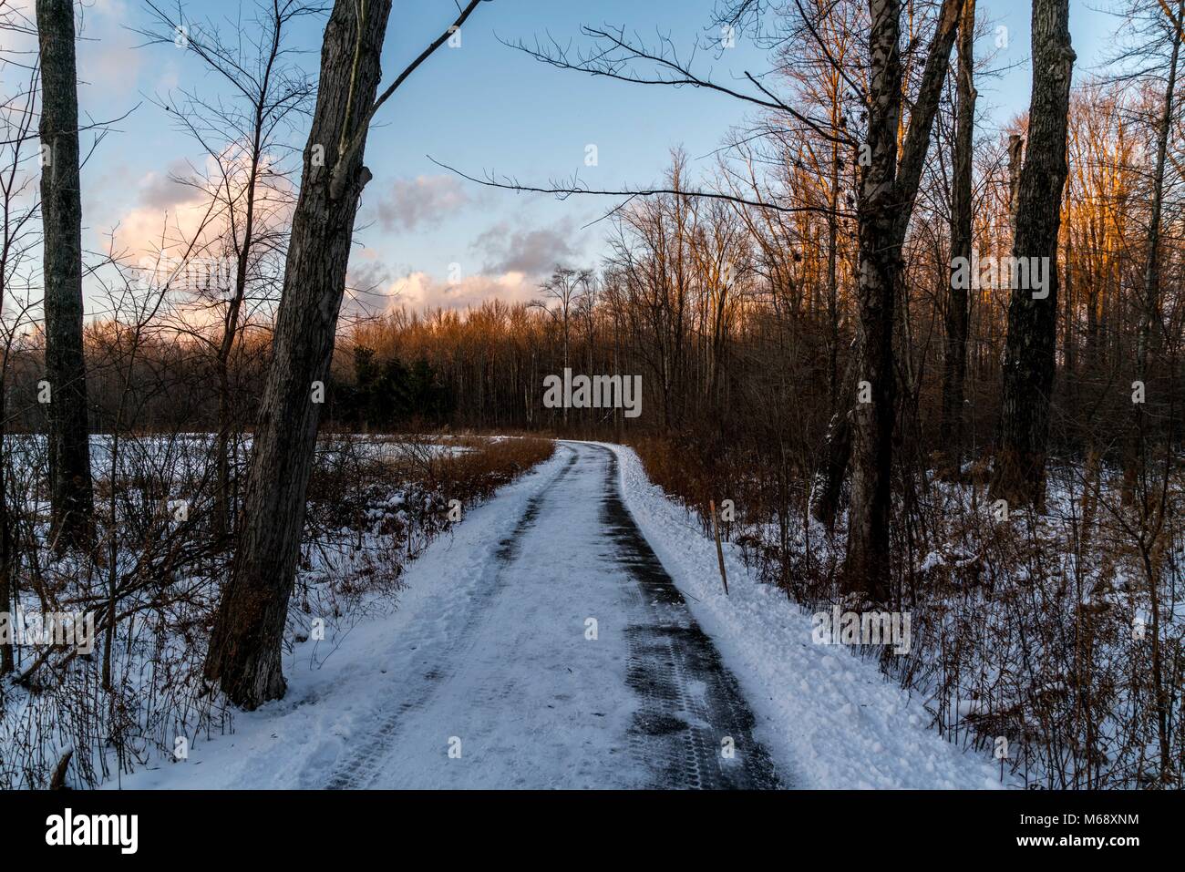 Ein Spaziergang durch den Park an einem kalten Wintertag im Nordosten von Ohio bei Sonnenuntergang. Stockfoto