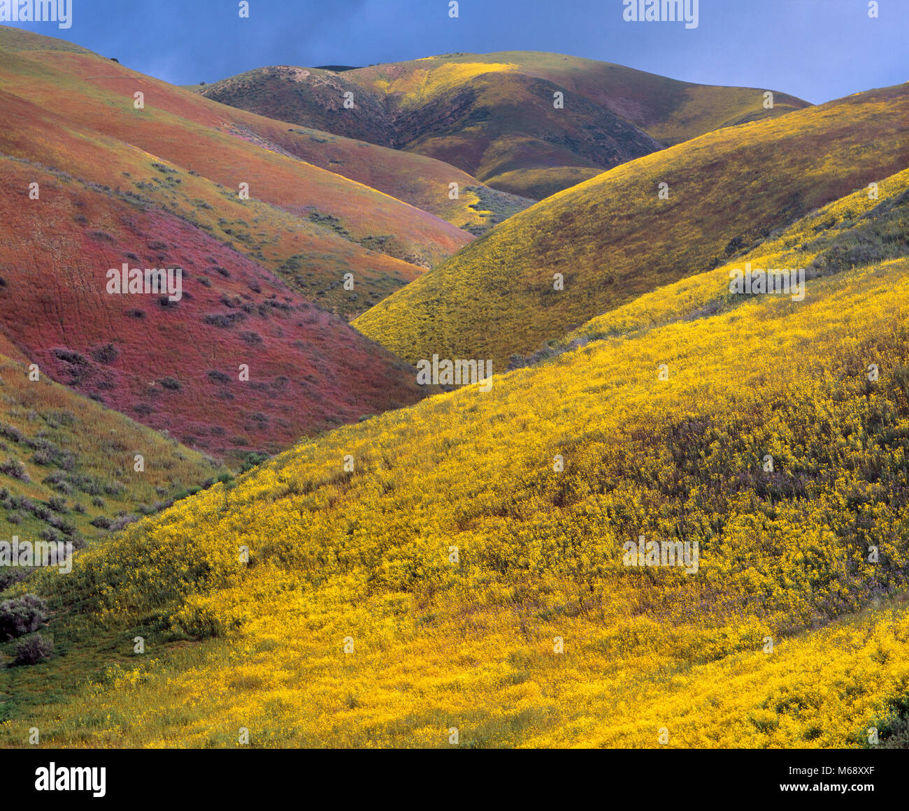 Kalifornisches Längstal Stockfotos und bilder Kaufen Alamy