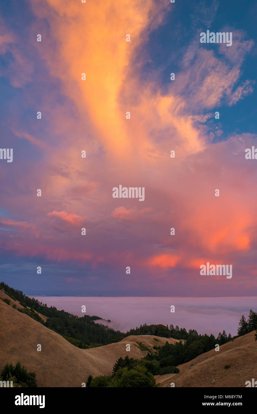 Sonnenuntergang, Bolinas Ridge, Mount Tamalpais State Park, Golden Gate National Recreation Area, Marin County, Kalifornien Stockfoto