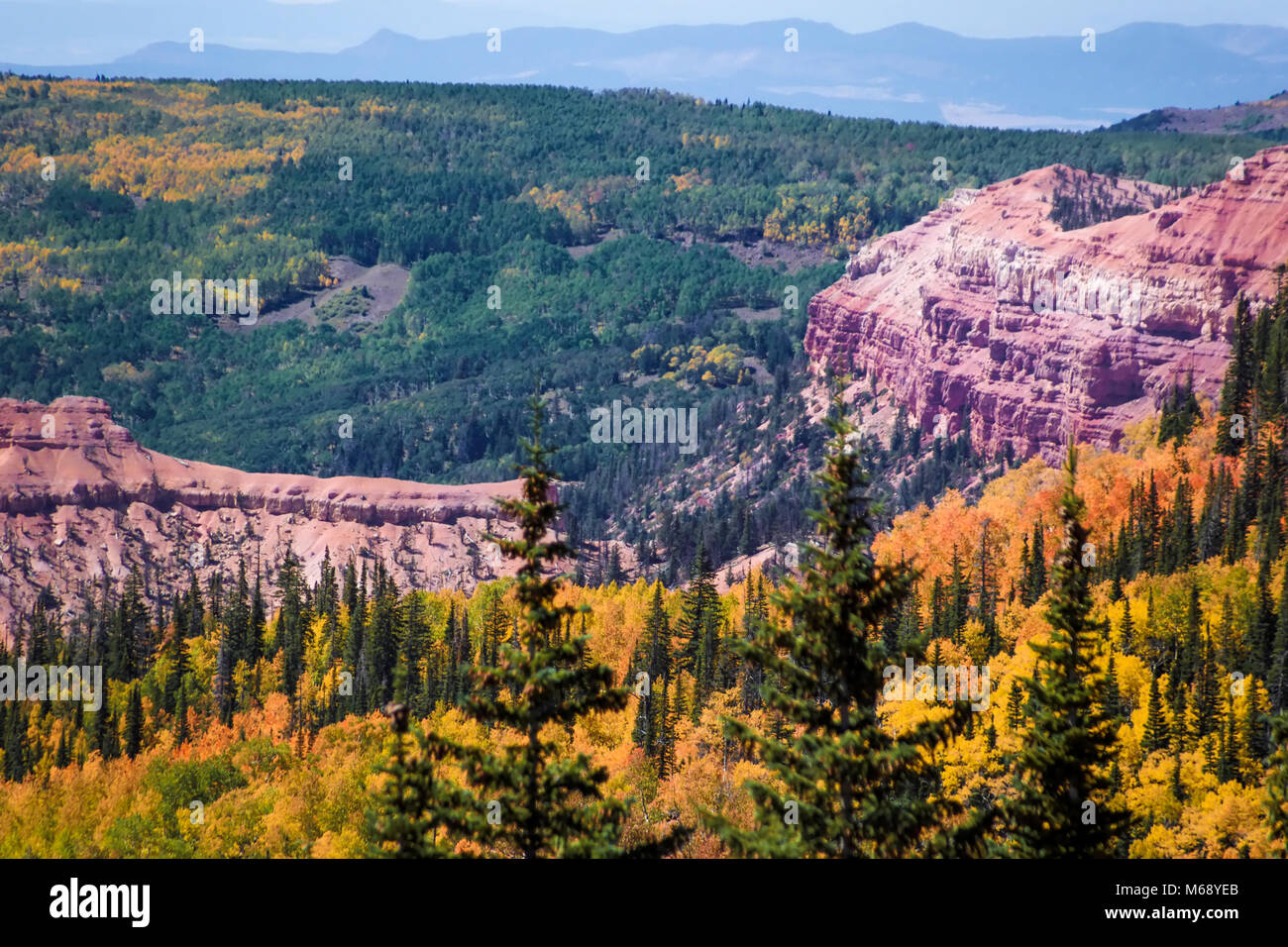 Die atemberaubenden Farben der Utah Cedar Breaks National Monument Stockfoto