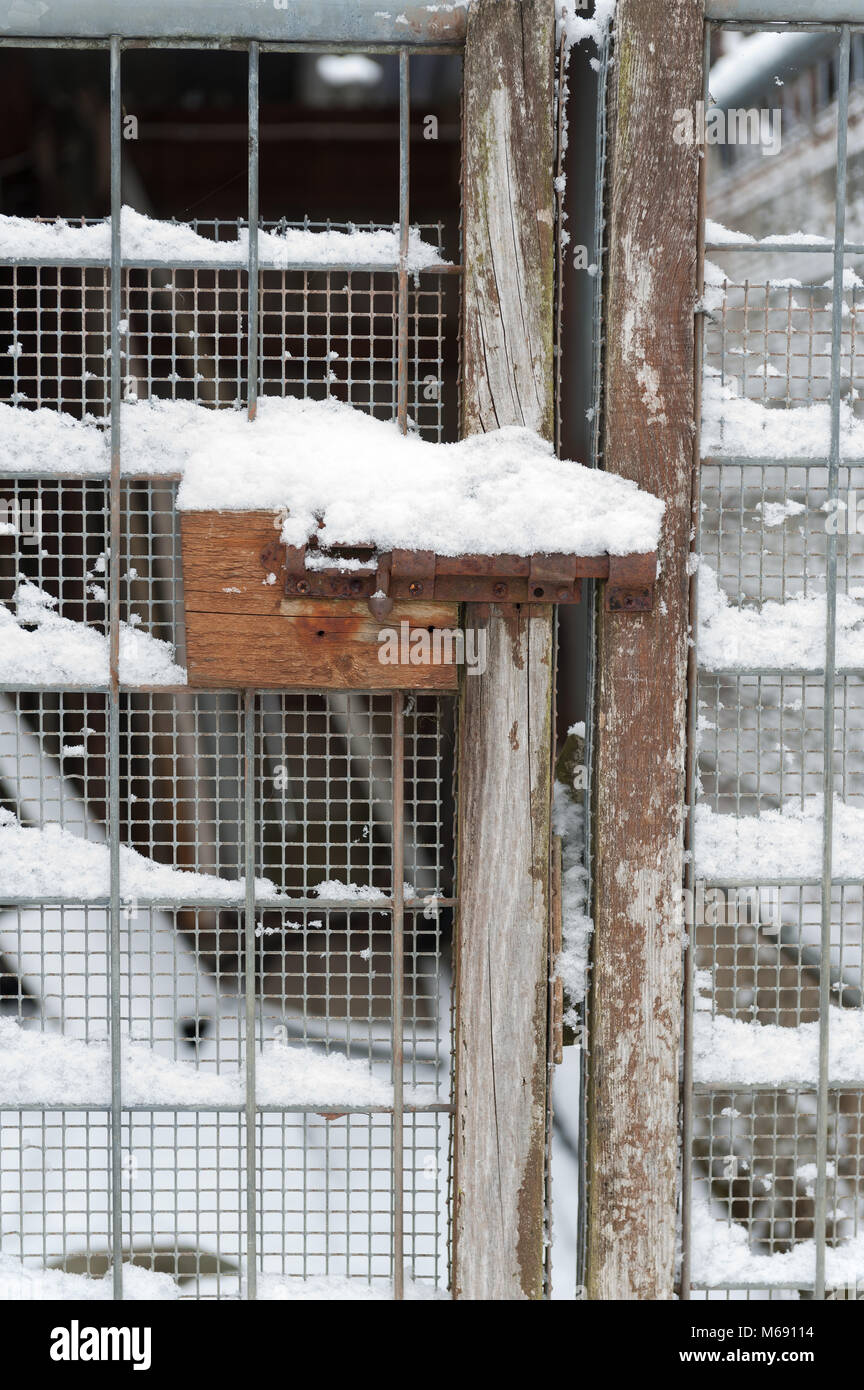 Schnee überzogen Verriegelungen Tür geschlossen halten Stockfoto