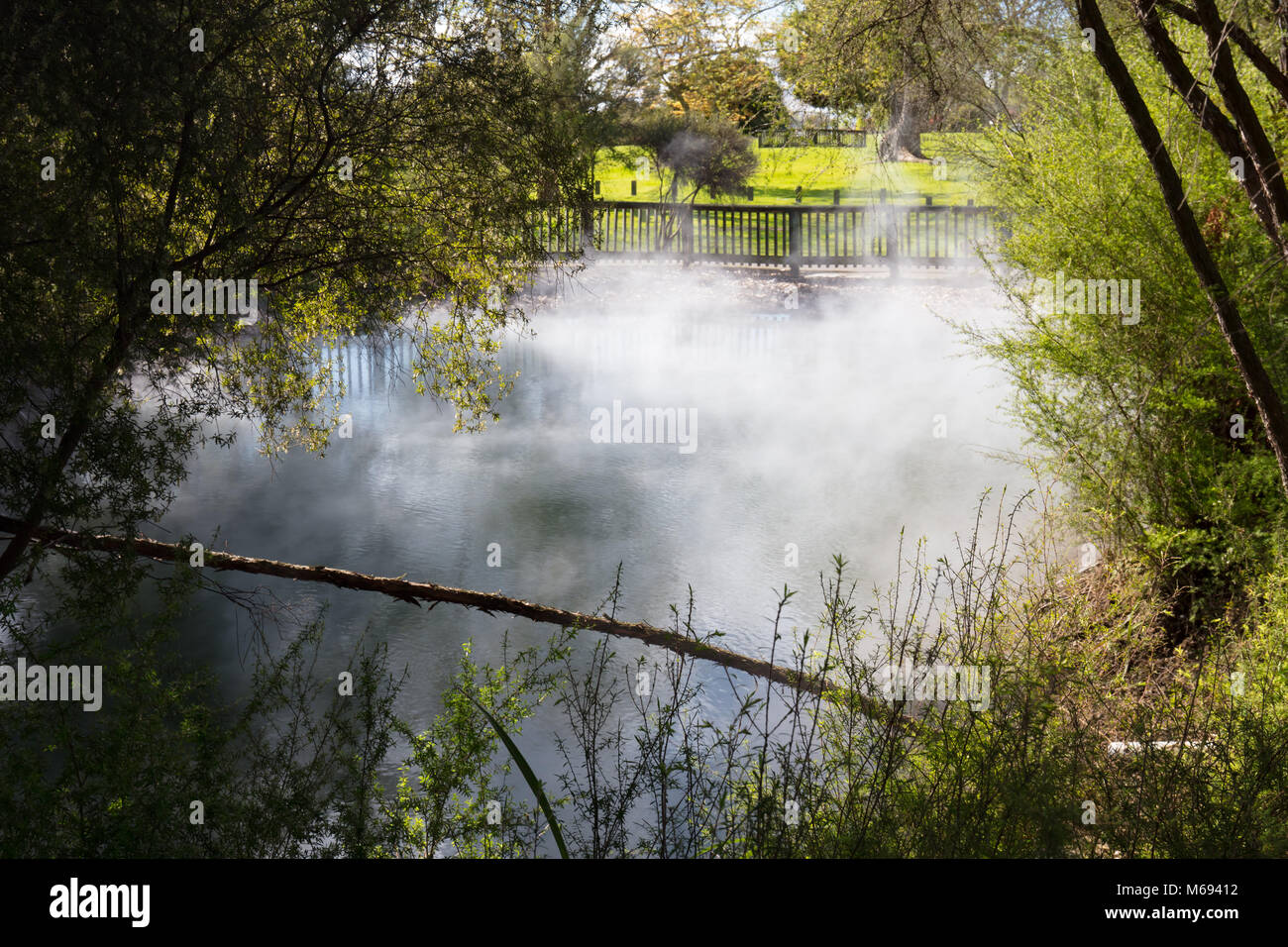 Kuirau Park Rotorua Stockfoto