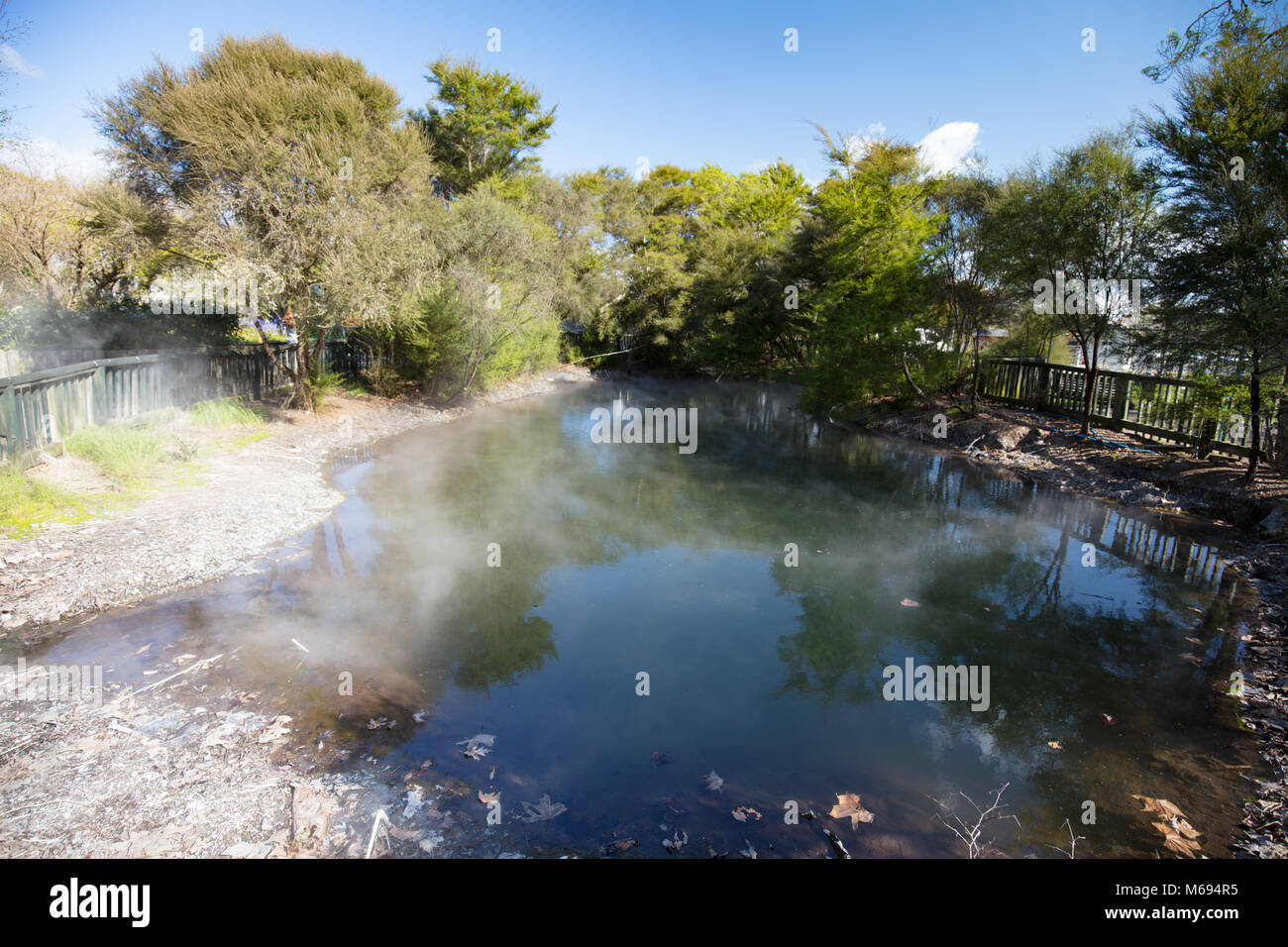 Kuirau Park Rotorua Stockfoto