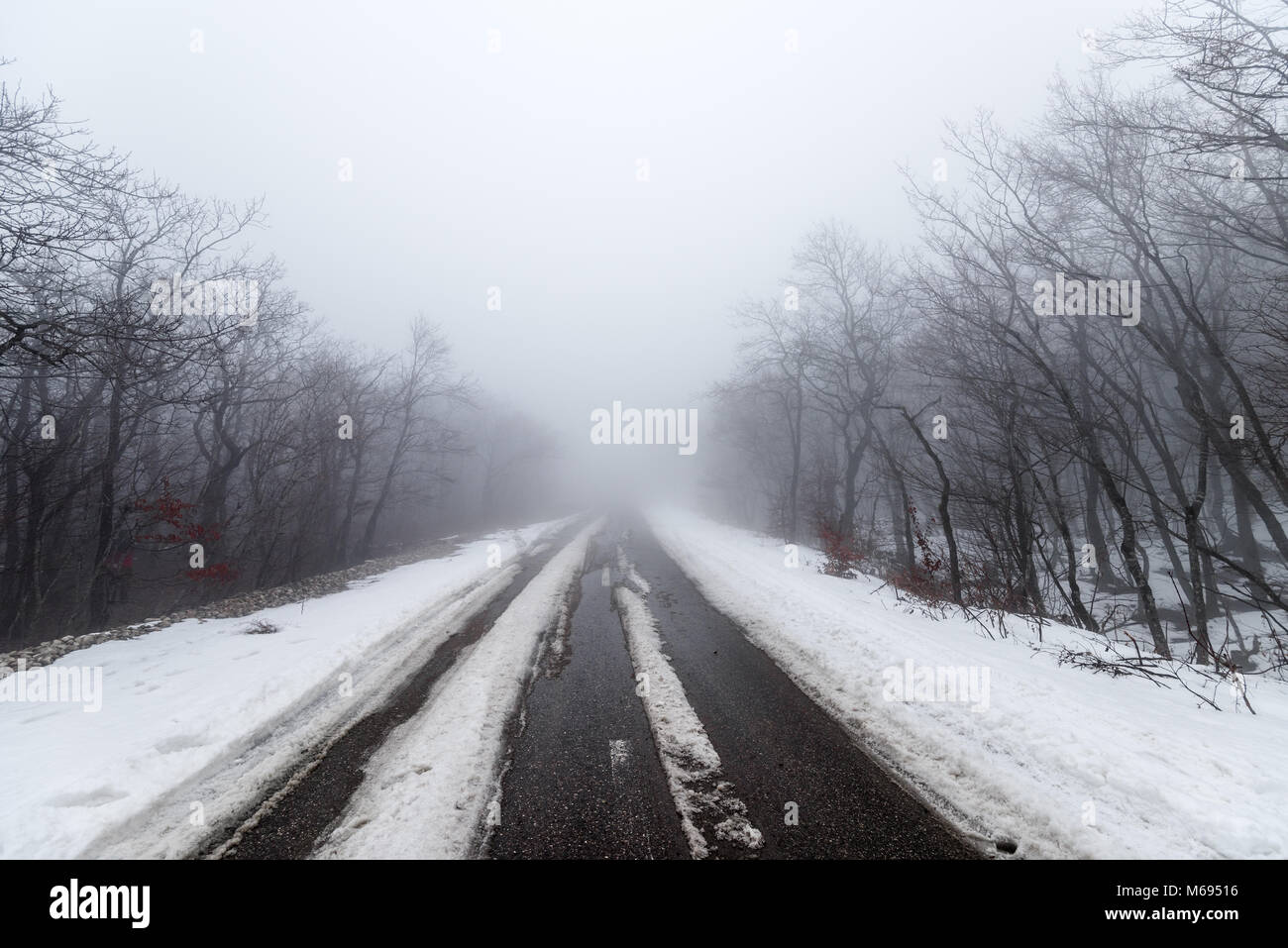 Straße in der nebligen verschneiten Wald Stockfoto