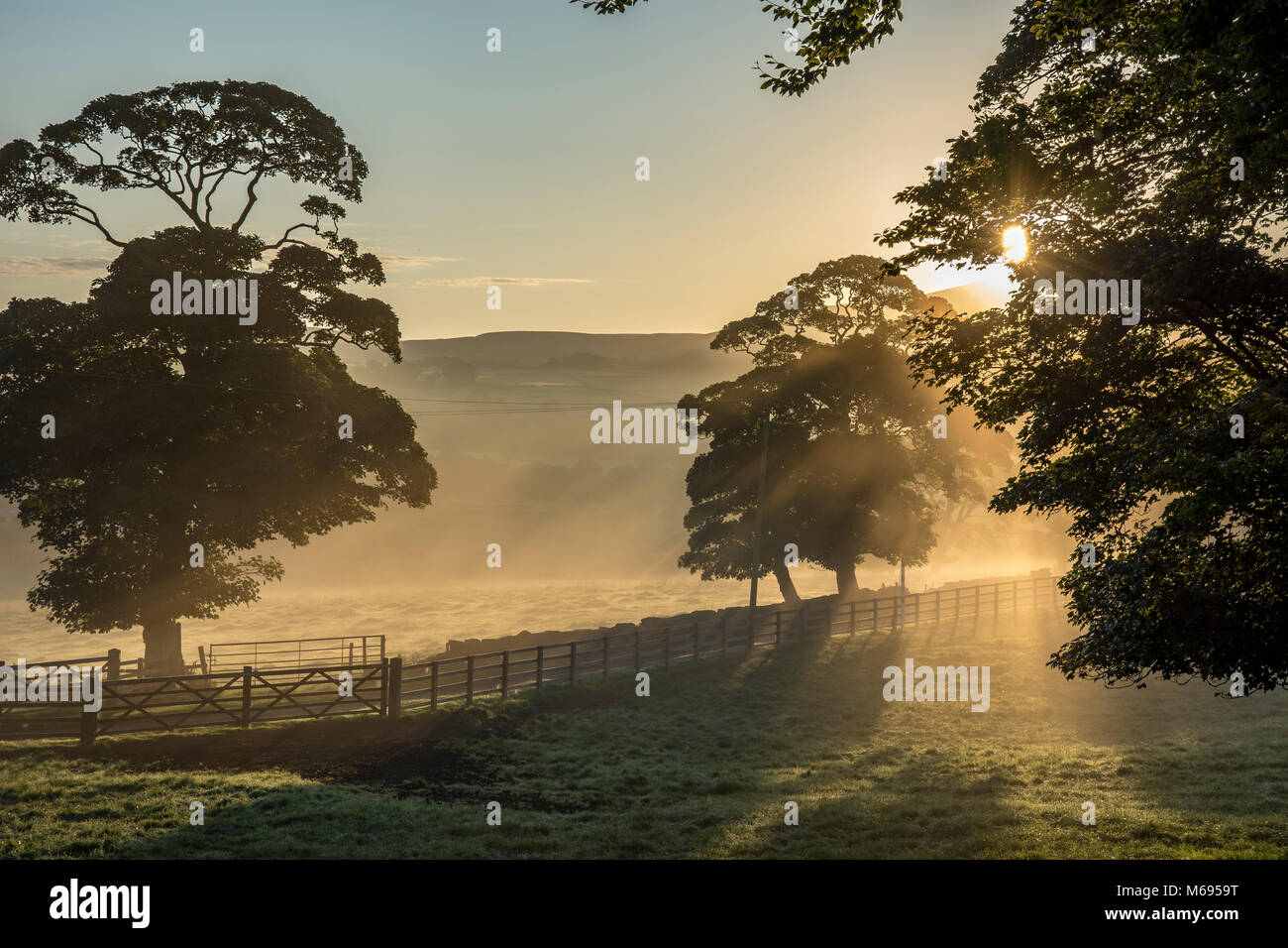 Am frühen Morgen Sonnenaufgang durch die Bäume mit der Lancashire Moorlandschaften im Hintergrund in der Nähe von Chorley Lancashire, Großbritannien Stockfoto