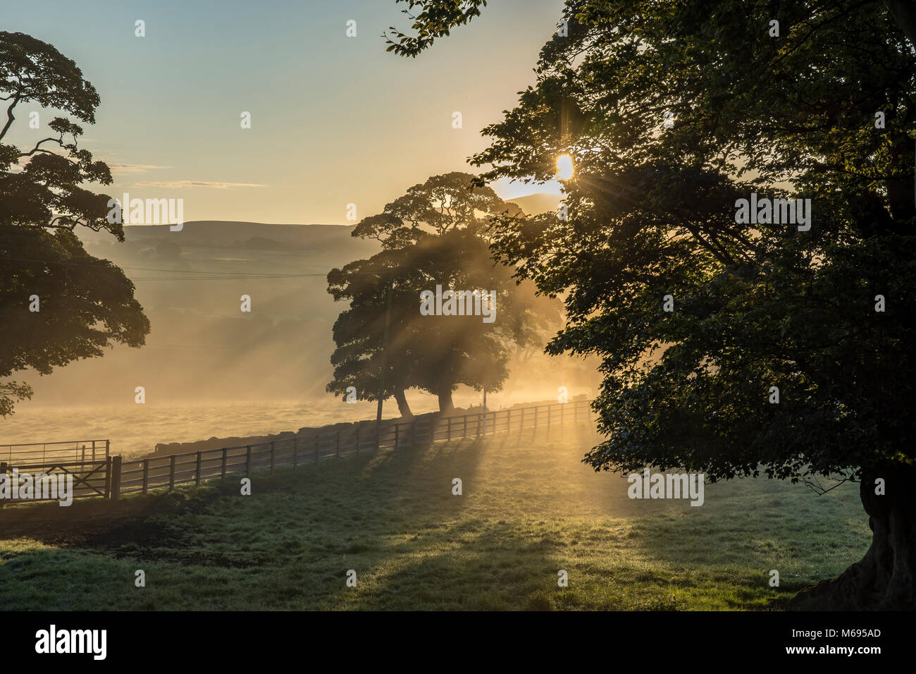 Am frühen Morgen Sonnenaufgang durch die Bäume mit der Lancashire Moorlandschaften im Hintergrund in der Nähe von Chorley Lancashire, Großbritannien Stockfoto
