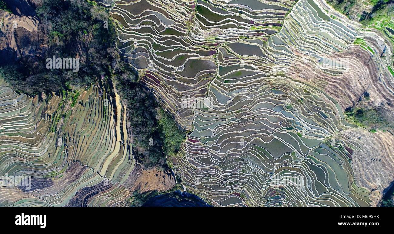 Reis terrasse Felder, die ganze Berghänge. Yuanyang Reisterrassen, einem UNESCO-Weltkulturerbe. Südlichen Yunnan, China. Stockfoto