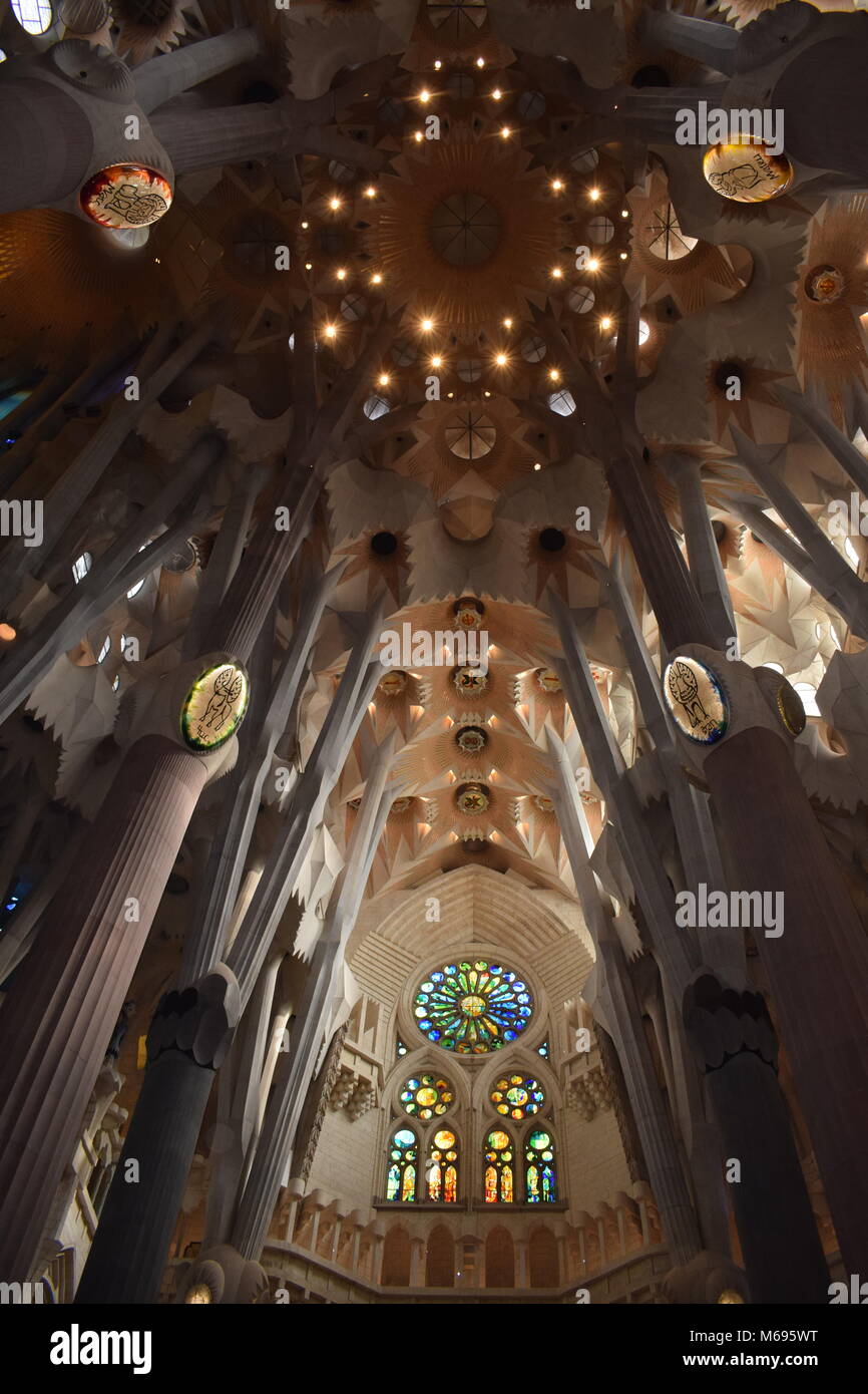 Decke von La Sagrada Familia, Barcelona Stockfoto
