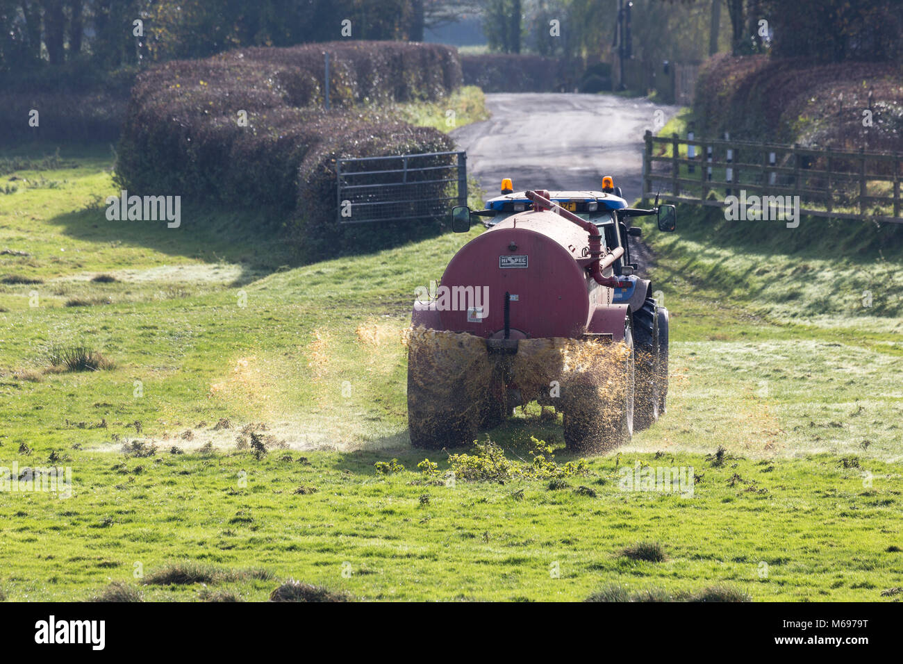 Landwirt spritzen Gülle über auf dem Feld vom Traktor Stockfoto